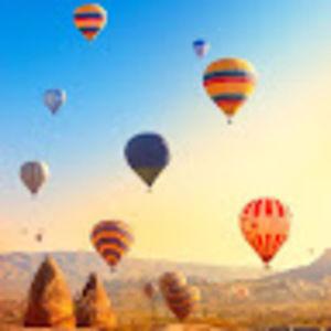 Meet your Posher, Phoebe